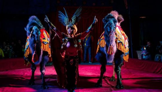 Цирк-шапито «Феникс». Шоу «Восточная сказка», Сызрань