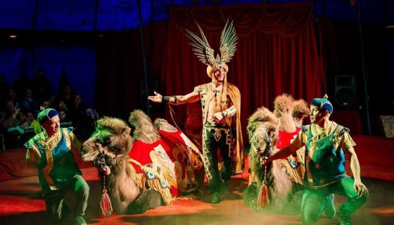 Цирк-шапито «Феникс». Шоу «Восточная сказка», Сызрань