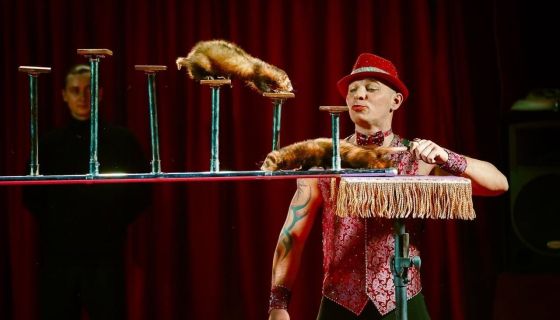 Цирк-шапито «Феникс». Шоу «Восточная сказка», Сызрань