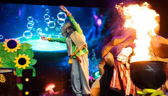 Шоу «Баба Яга»