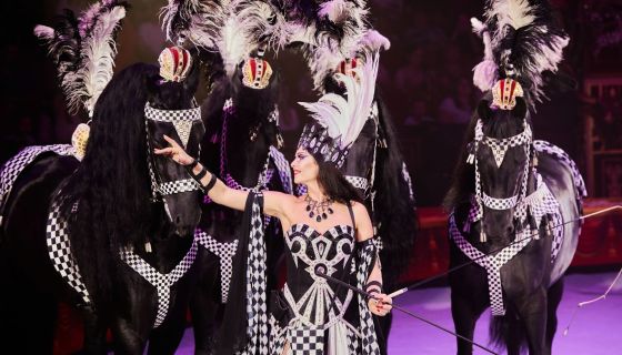 Королевский цирк Гии Эрадзе