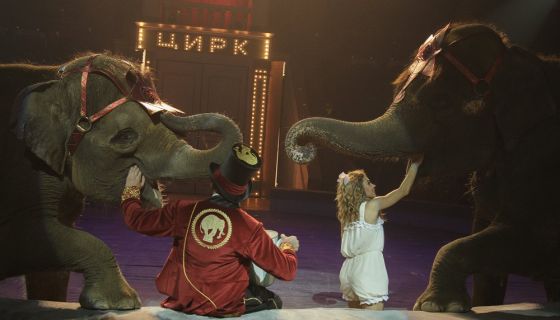 Цирк «Девочка и слон»
