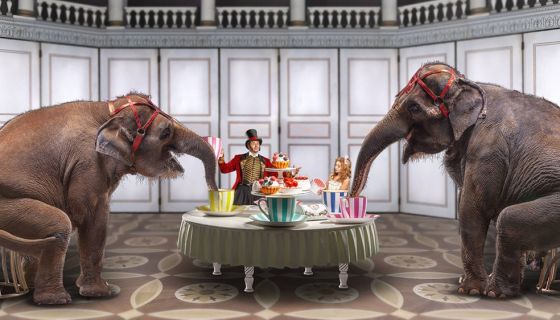 Цирк «Девочка и слон»