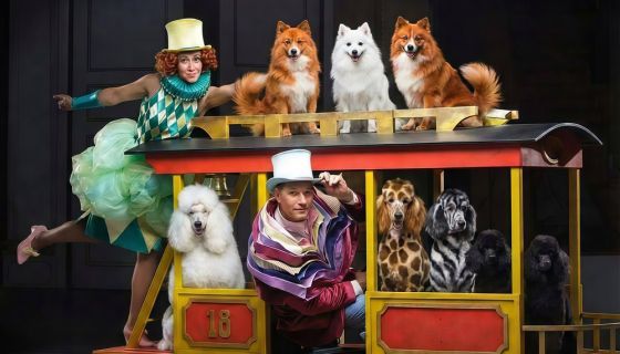 Цирк «Девочка и слон»