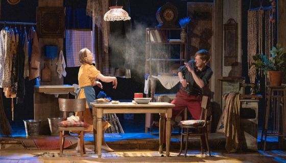 Спектакль «Дом окнами в поле»