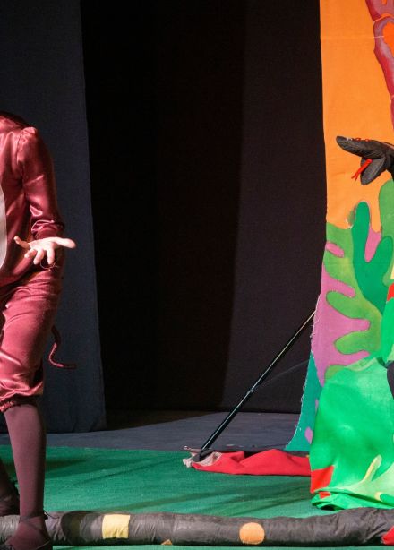 Как лечить Удава