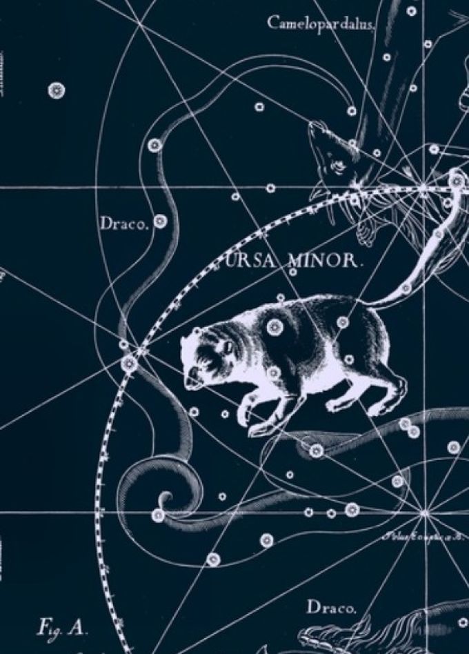 Звездный зверинец. Планетарий