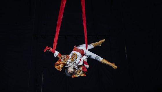 Цирк «Жираф шоу»