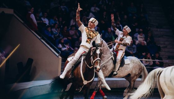 Цирк «Жираф шоу»