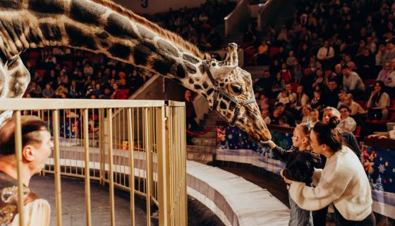 Цирк «Жираф шоу»