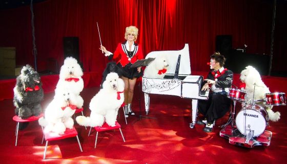 Цирк-шапито «Каракат Шоу». Русские мишки