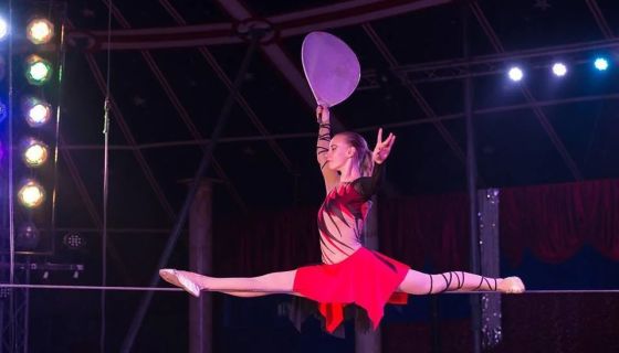 Цирк-шапито «Каракат Шоу». Русские мишки