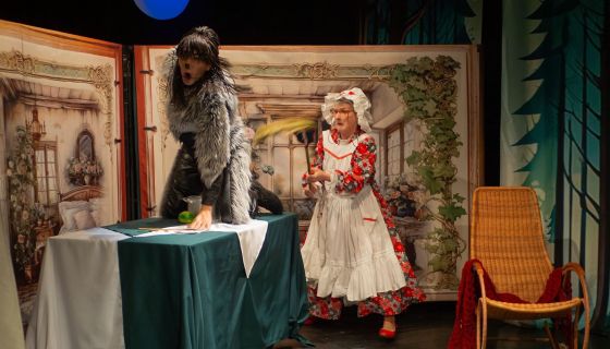 Спектакль «Красная шапочка»