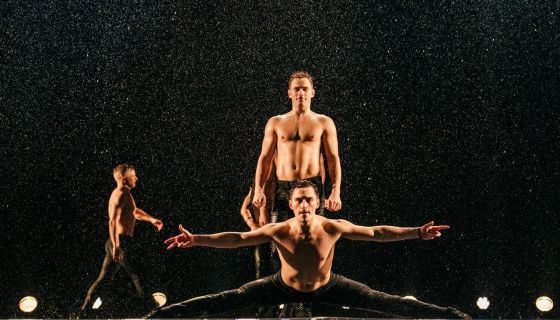 Шоу под дождём VII. И где, …, счастье?